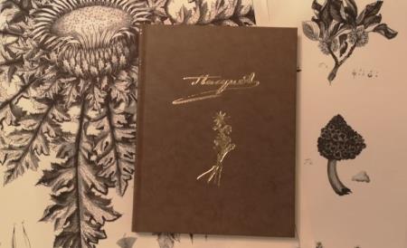 Hacquet - Plantae 5 (1)